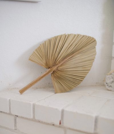 fig-rosewood-BghlnGU5Yns-unsplash-gal